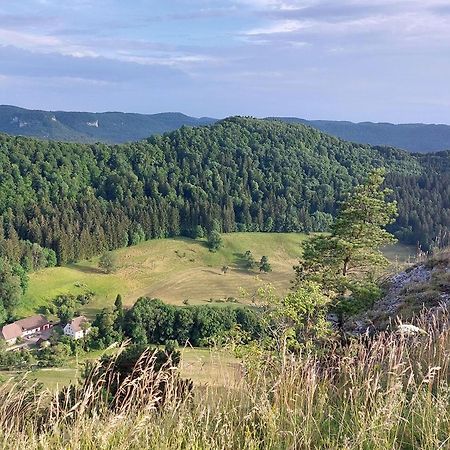 Ferienwohnung Schatz Albstadt Exteriör bild