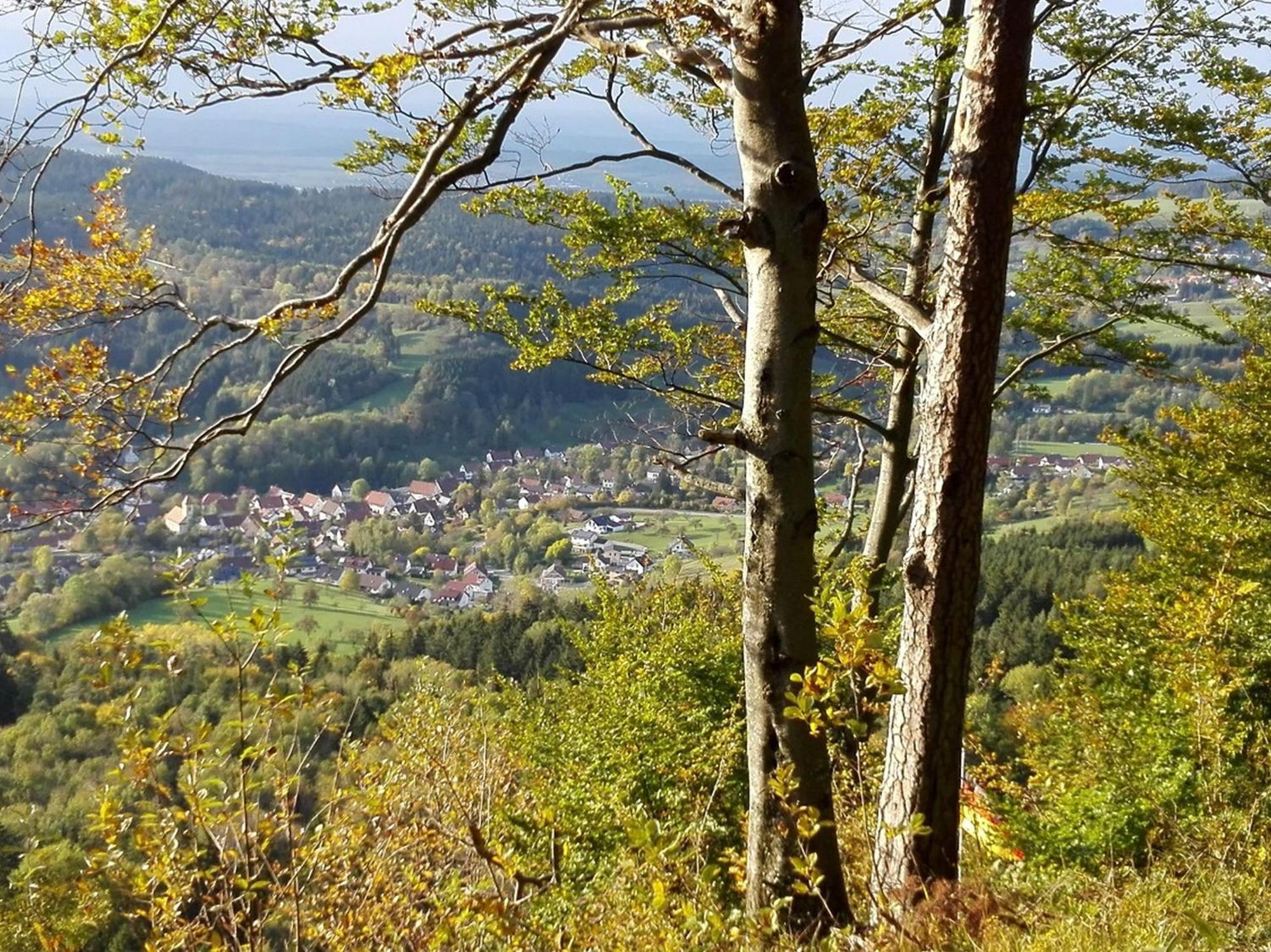 Ferienwohnung Schatz Albstadt Exteriör bild