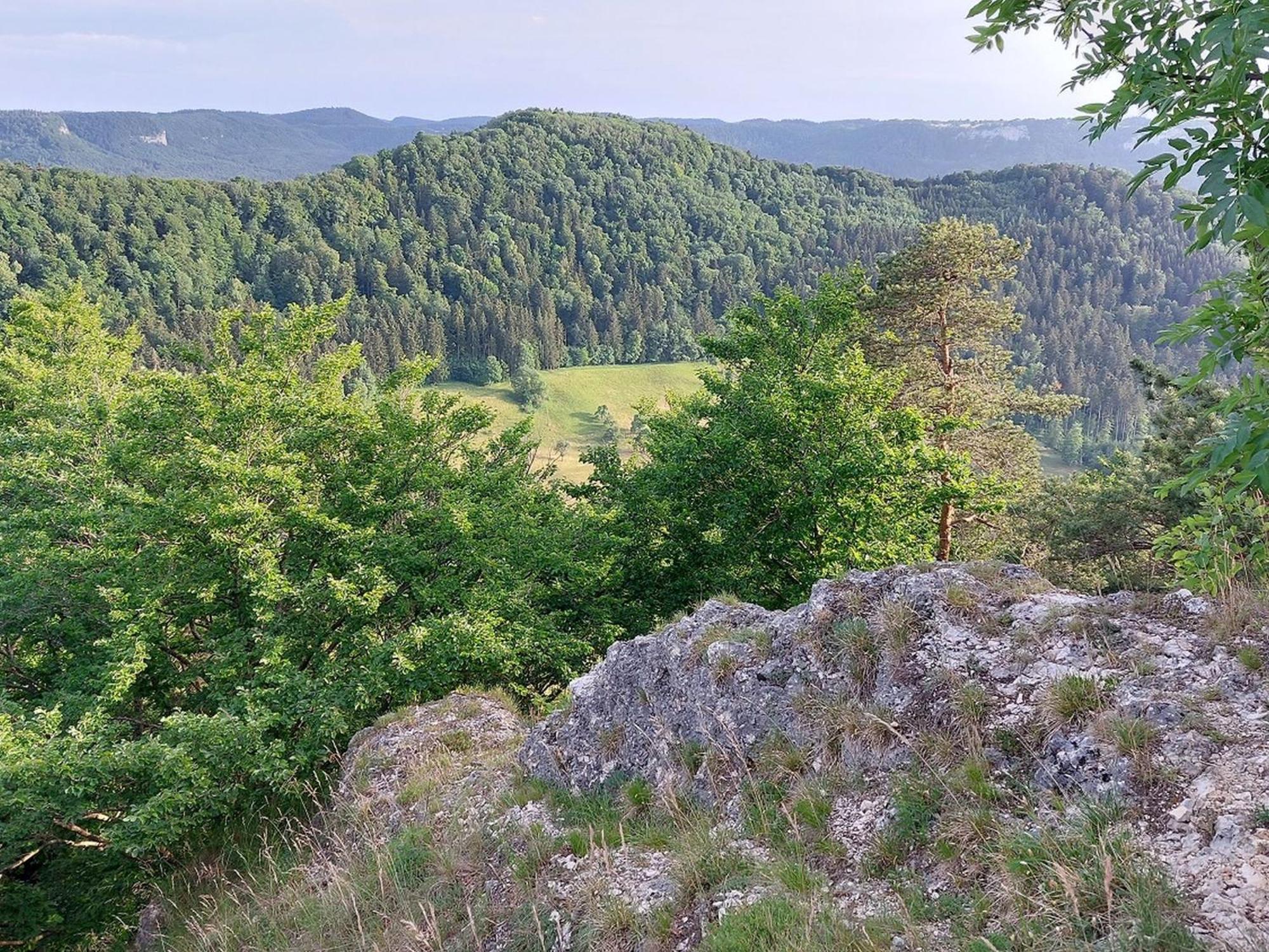 Ferienwohnung Schatz Albstadt Exteriör bild