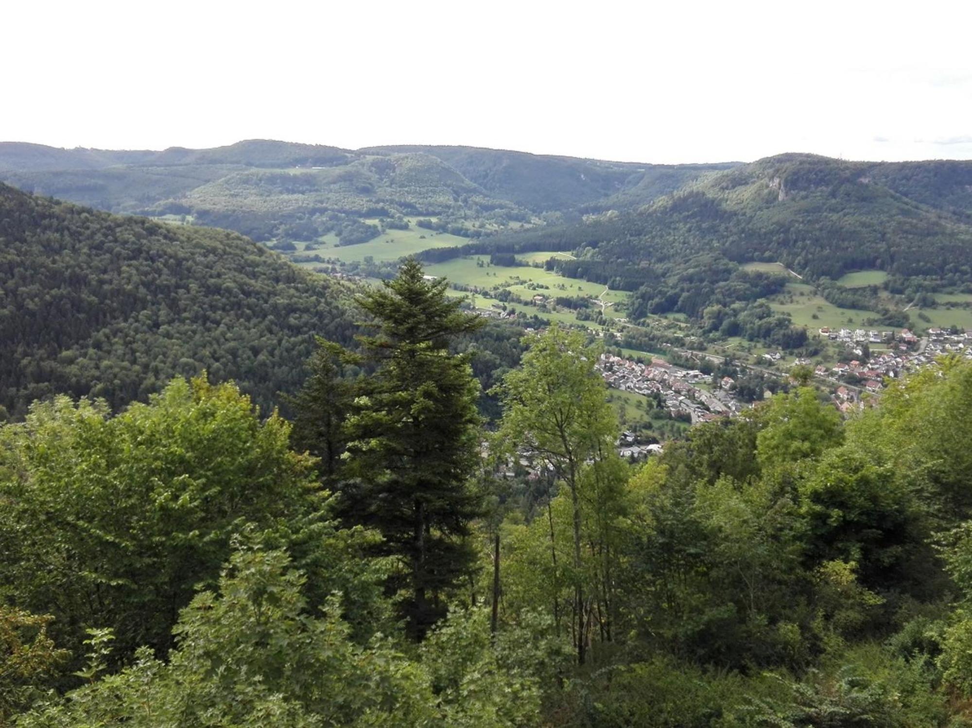 Ferienwohnung Schatz Albstadt Exteriör bild